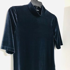 Banana Republic Velvet Turtleneck (M)